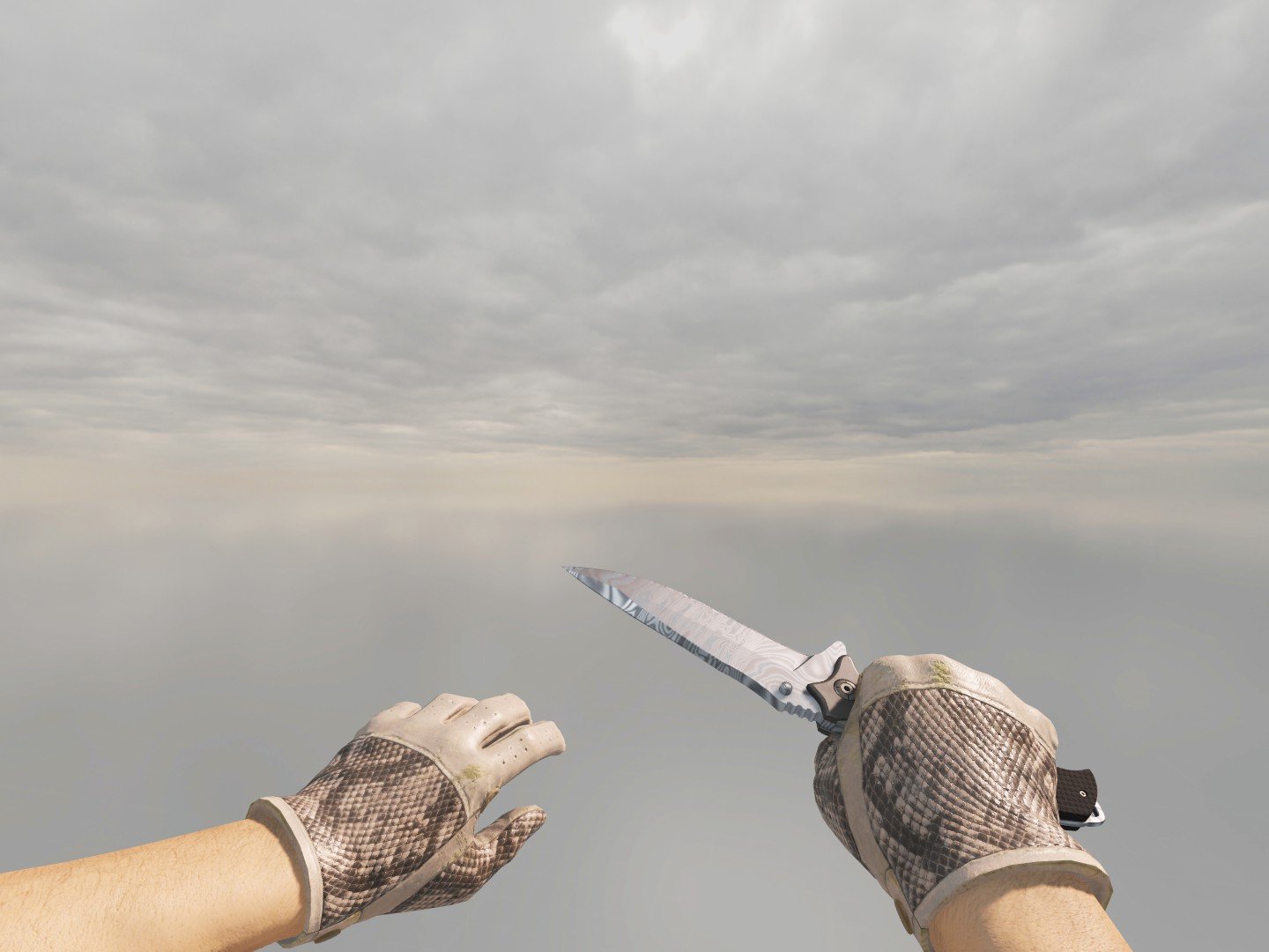 𝑽𝑰𝑷 ⚪WHITE⚪🏠HOME / PC Club💻❗KNIFE(Nomad)+GLOVES+SKINS💰✅PREMIER✅INV 45k+🕒6 HOURS🕒🎁+1 HOUR FOR REVIEW🎁, Rent, Available, Yes PRIME, Competitive