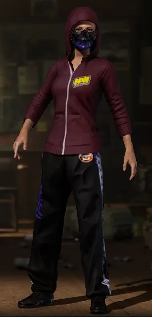 natus vincere 2018 hoodie 500hour, Yes BATTLEGROUNDS Plus