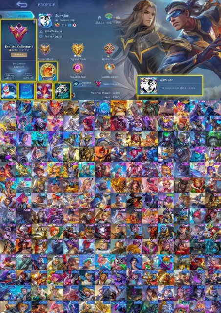 🔥Full Kung Fu Panda🔥Legend of Gwina-Gossen, Collector San-Aldos, Hero Lancelot-Bruno, Estes Blacklist🔥, Sale, Rank: Epic, Level: 147, Win Rate: 51%, Heroes: 132, Skins: 442