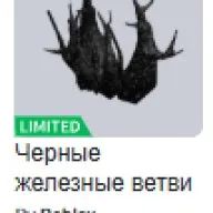 ⚡AUTO DELIVERY • LIMITED ITEMS • Donation: 110,000 Robux •【screens in description】• large inventory, Sale, Voice chat: No