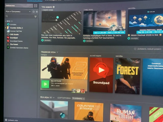 selling Steam account with games the forest, human fall flat and soundpad, Sale, Inventory empty, Has PRIME, 3000 CS Rating, Competitive