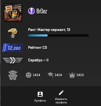 Selling a juicy CS2 account, Sale, With inventory, Has PRIME, 12080 CS Rating, Competitive
