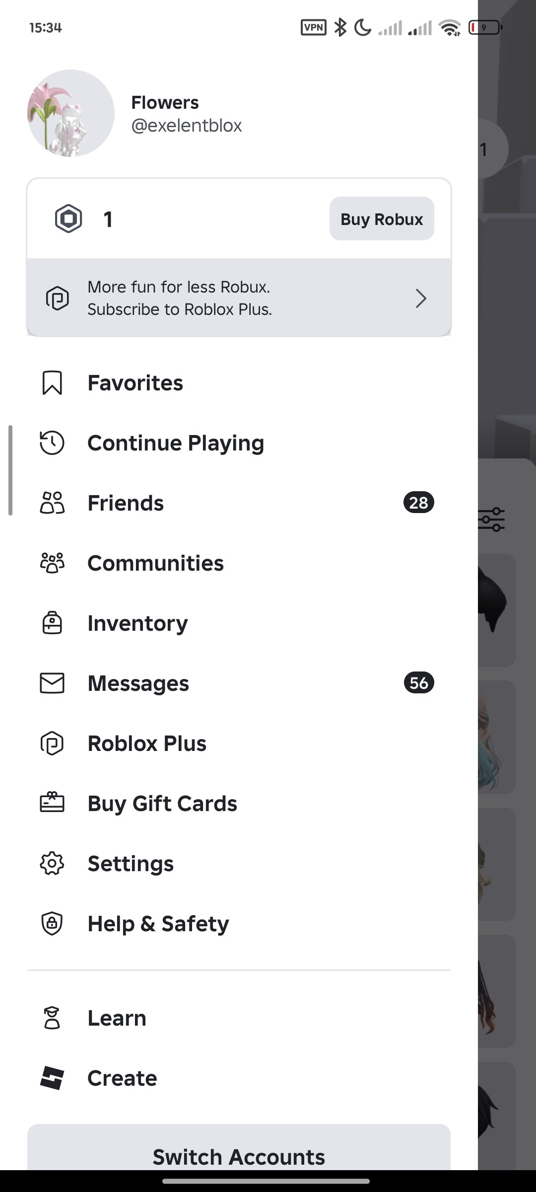 The account in roblox is very old, Sale, Voice chat: No