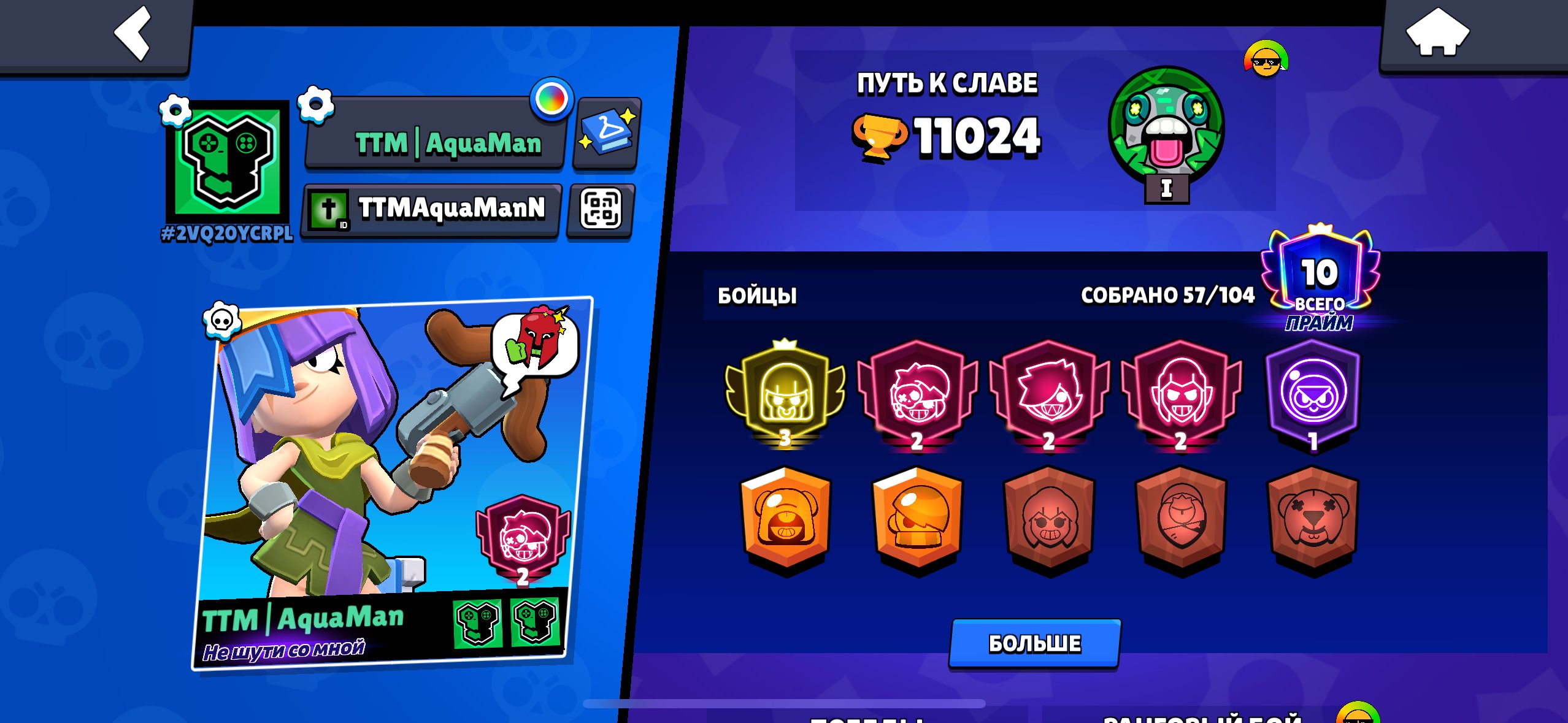 3 rd prime/3 prime+matcherino pin, trophies 11000, brawlers 57, primes 10