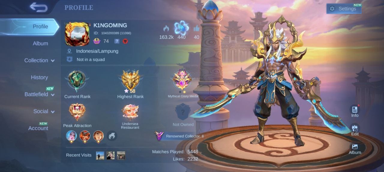 🔥LUCKYBOX Hayabusa Martis zhask Star Haya🔥 zodiac oddett Gaara Vale pegasus badang🔥, Sale, Rank: Mythic, Level: 74, Winrate: 53%, Heroes: 116, Skins: 265