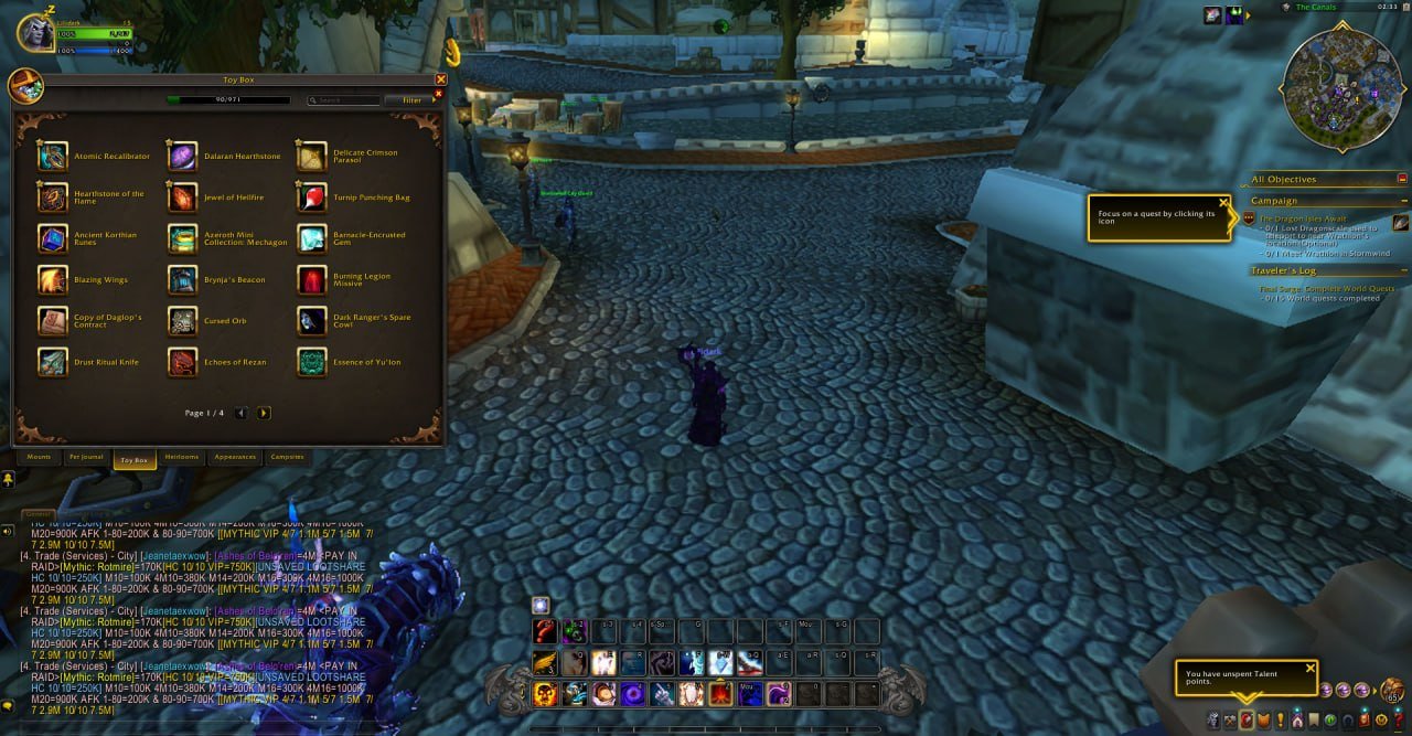 Account (personal) rare mounts, 70 level, Blood Elf, Demon Hunter