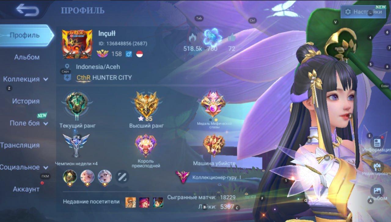 💜Legend Alucard-Franco💜Transformer Aldous-Granger,Collector Cecilion-Fasha-Badang,LuckyBox(10)💜, Sale, Rank: Epic, Level: 158, Winrate: 51%, Heroes: 133, Skins: 466