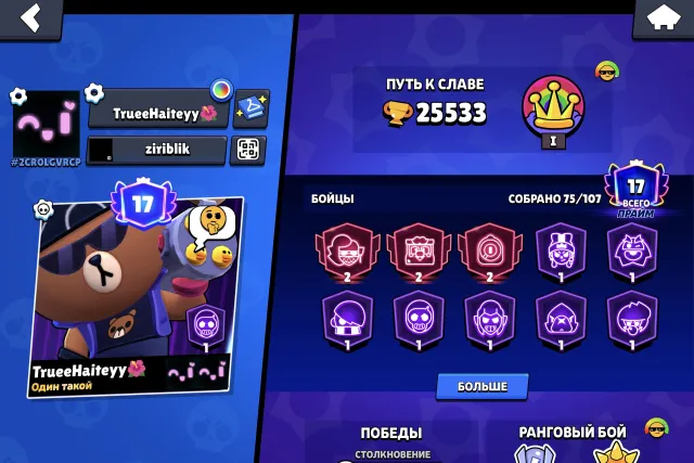 👑Perfect account for starting description 👑, 25533 trophies, 75 brawlers, 17 primes