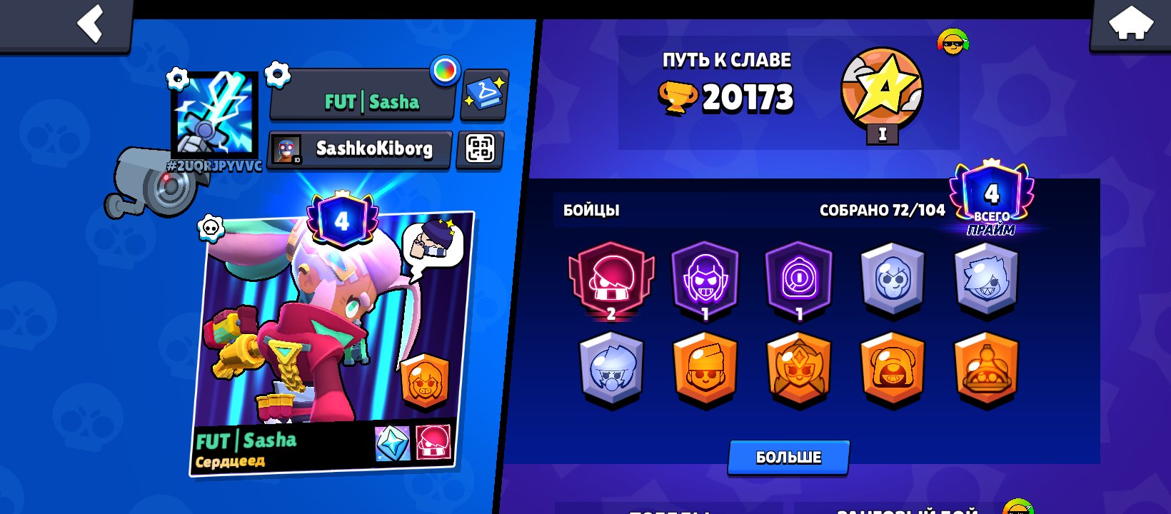 20,173 cups, 72/104 fighters, 4 fame level, many skins, trophies 20173, brawlers 72, primes 4