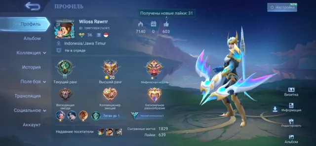 Epic rank everything else in the description, Sale, Rank: Epic, Level: 36, Win rate: 55%, Heroes: 133, Skins: 104