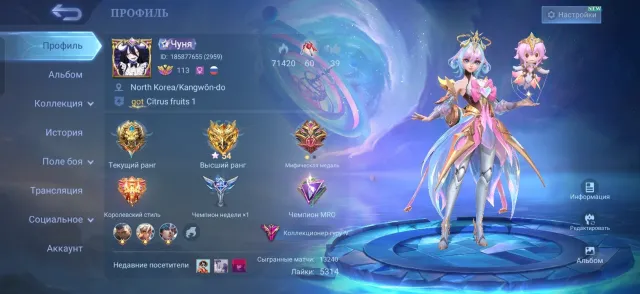 Everything in the photo, Sale, Rank: Legend, Level: 113, Win rate: 76%, Heroes: 666, Skins: 389