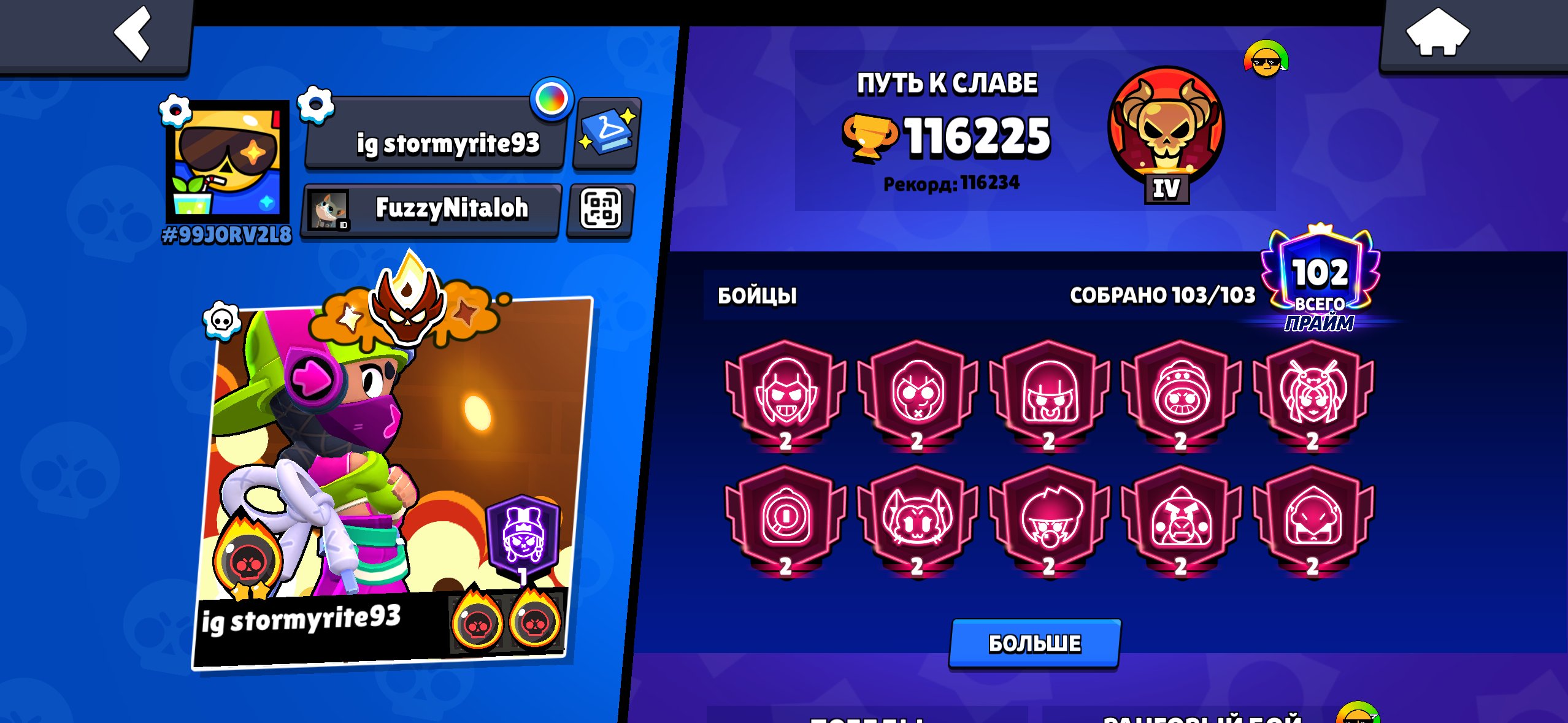 The best account IN THE ALL MARKET FULL ACCOUNT, trophies 116200, brawlers 103, primes 108