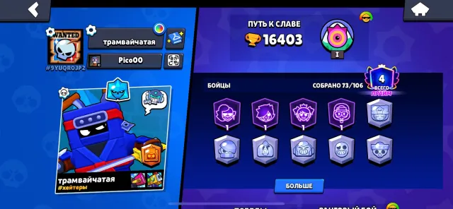 🐝 2 OLD BP, OLD SKINS, 2020, MAJOR ROZA, BAD BUZZ, NINJA ASH🌦️, 16403 trophies, 73 brawlers, 4 primes