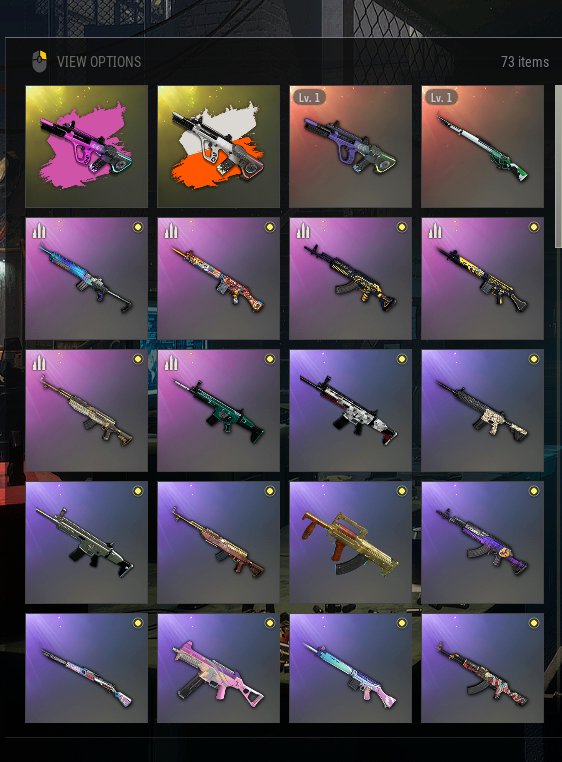 ⭐Neon Dream - AUG + 2 CHROMO + Kar98k🚀Auto-Delivery💎First mail✅NickName Change Coupon❤️Screens, Yes BATTLEGROUNDS Plus
