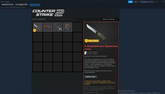 CS 2 Prime Account, Inventory Value 8k | Bear Knife | Damascus Steel | Full Rebinding, Sale, With Inventory, Has PRIME, Competitive