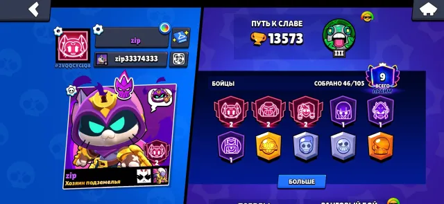 Account in Brawl Stars, 13573 trophies, 46 brawlers, 9 primes