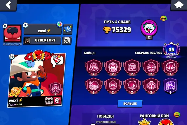 Account for foundation, has many rare skins, almost complete collection of very strange things. More details in the description., 75329 trophies, 105 brawlers, 45 primes