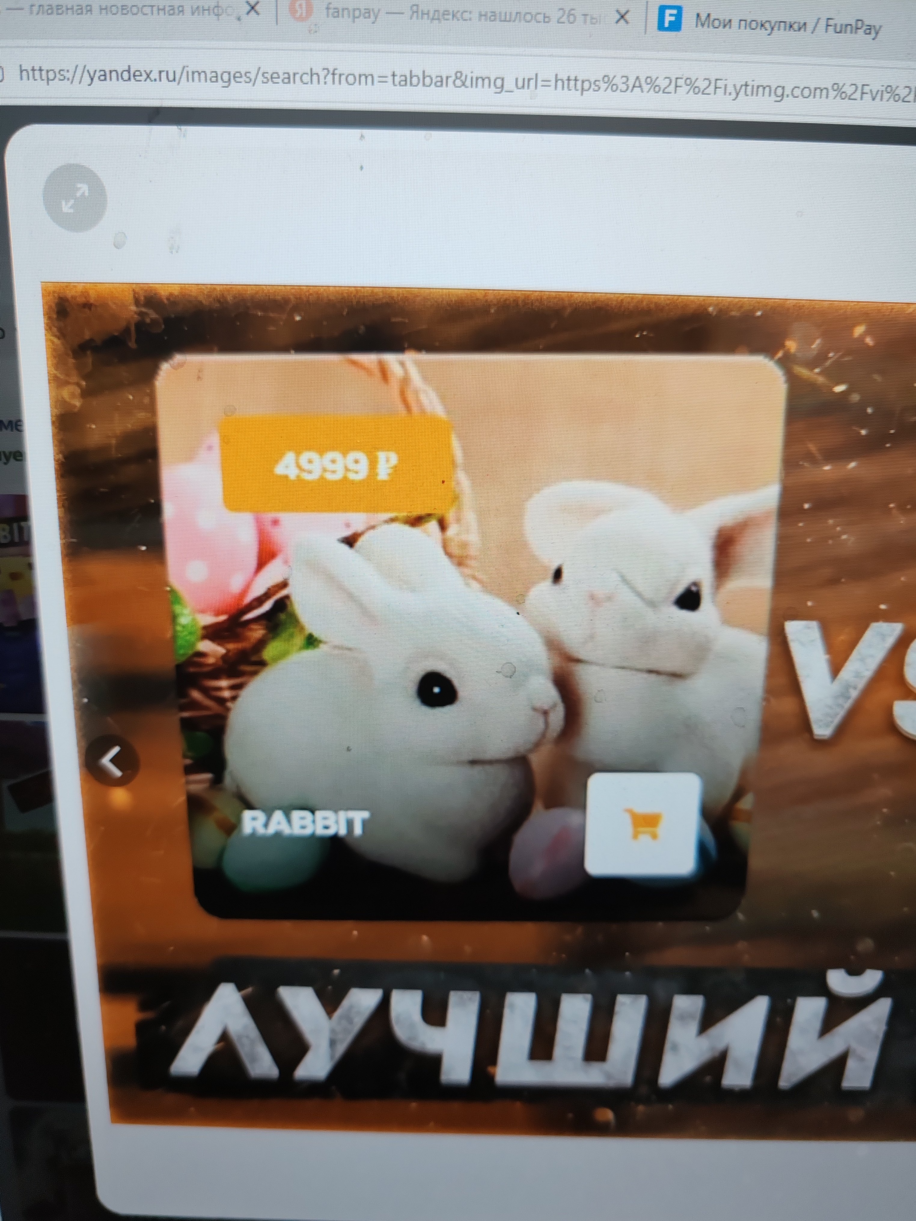 Rabbits, Sale