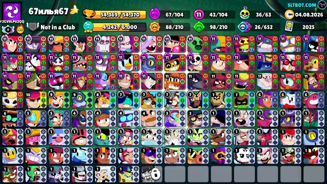 6bp+💸L1 league🔥 there are many skins🤑, trophies 54000, brawlers 104, primes 38