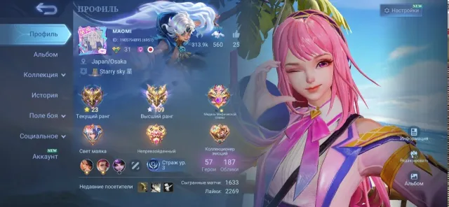 EXCELLENT ACCOUNT WITH SKINS, GOOD WIN RATE AND MYTHICAL IMMORTAL AT MAX, Sale, Rank: Epic, Level: 31, Win Rate: 58%, Heroes: 57, Skins: 187