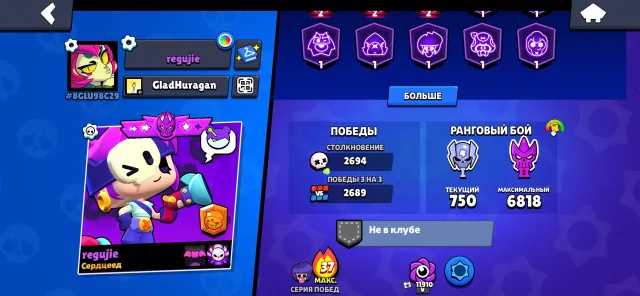 Top account with a base of 15 primes, fast delivery, many cool skins, 41649 trophies, 85 brawlers, 15 primes