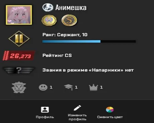 🔥 6 YEARS OF SERVICE + PRIME CS2 + 2 medals + 26,000 rating 🔥, Sale, With inventory, Has PRIME, 26260 CS Rating