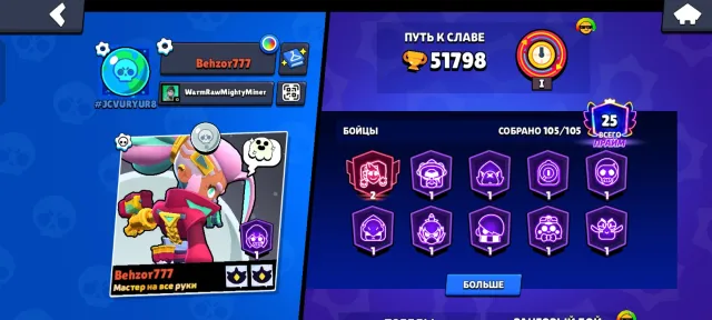 Fat account old skins, 54000 trophies, 105 brawlers, 25 primes