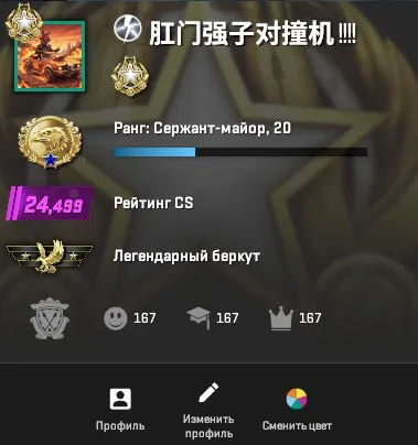 CS2 PRIME STEAM data change full access to prime account 24499 elo rating, Sale, Empty, Yes PRIME, 24499 CS Rating