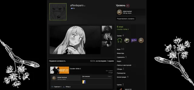 CS2 PRIME PERSONAL ACCOUNT | 11 LVL STEAM, Sale, With inventory, Has PRIME