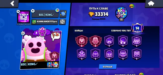 🏆33K🏆 💛【✨14 PRIMES✨] 【🌸15-11 POWER🌸] FOR BASE | REBIND, 33314 trophies, 100 brawlers, 14 primes