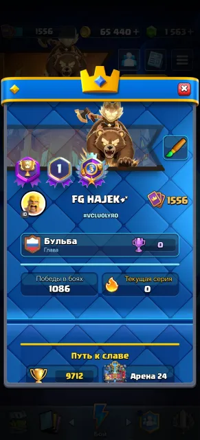 Top account 14 evolutions 4 heroes 4 evolution shards 1500 gems 65k gold, 24 arena, 1556 level, 9712 trophies, 123 cards, Available