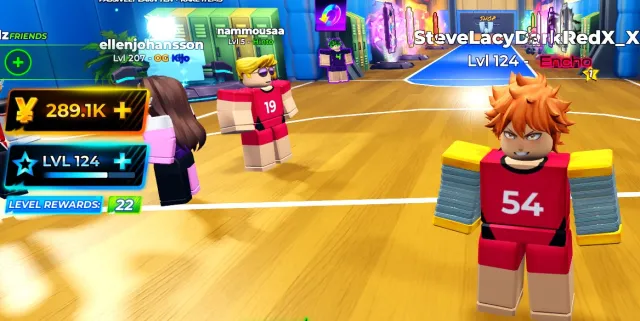 Account in Volleyball Legends, Accounts