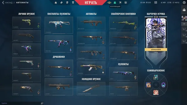✅✅EU✅✅【78 LEVEL】💥🔥【FULL ACCESS FOREVER】🔥🍀【COMES WITH EMAIL】🍀, Sale, Calibration, Agents: 20, Skins: 22