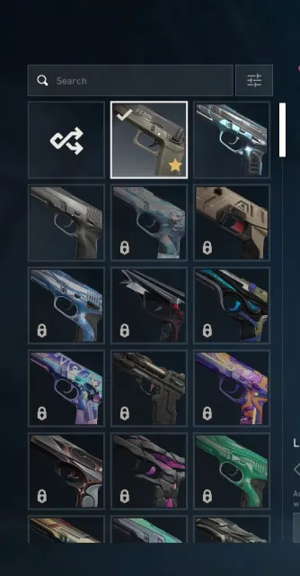 Account for foundation, Sale, Gold 1, Agents: 30, Skins: 86