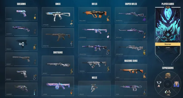 Full Bundle Outlaw, Sale, Silver 3, Agents: 29, Skins: 37