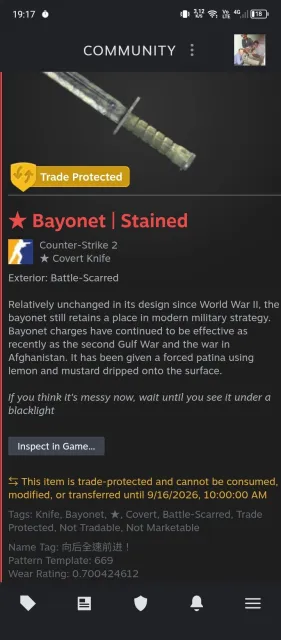 selling an account in cs with a bayonet knife patina, Sale, With inventory, Has PRIME