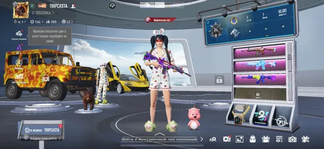 🦋67 КОЛЛЕКИОНЕР🦋🟡BAPE🟡БЕЙП🟡🌞ВОРОН 3🌞🚀4 M416 4-6 LVL🚀🚕McLaren🚕💥ОЛД💥🌫Ryan Apeach ПИЖАМЫ🌫, Продажа, 77 уровень, Ранг: Платина, 100+ мифик скинов, 30+ прокачиваемых оружий, 20+ килл чатов, 1-5 спорт каров