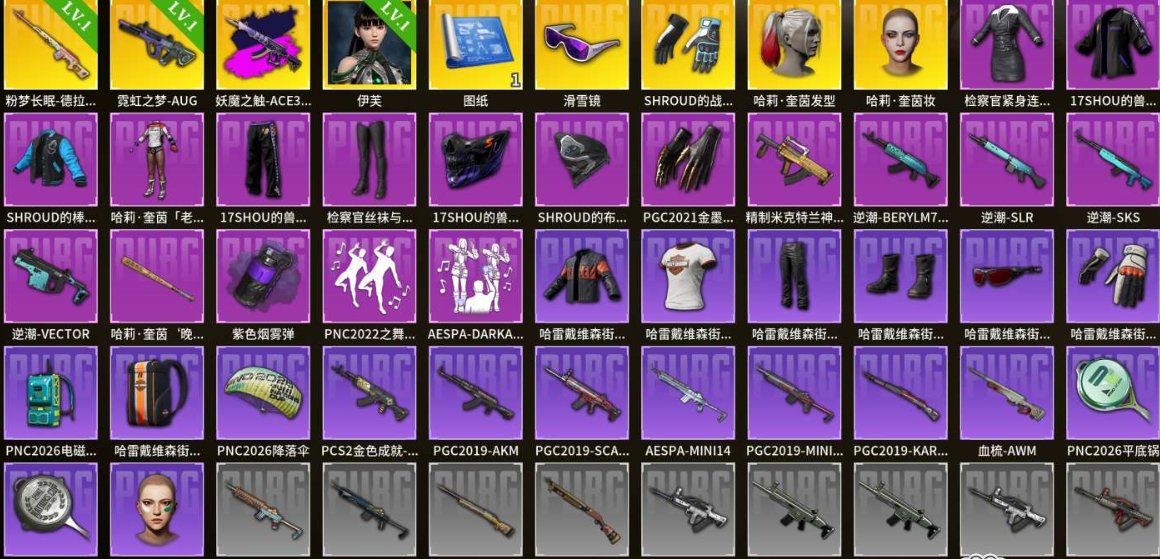 ✅⭐SHROUD's tactical gloves + Harley Quinn + eve level 1✅⭐, Yes BATTLEGROUNDS Plus