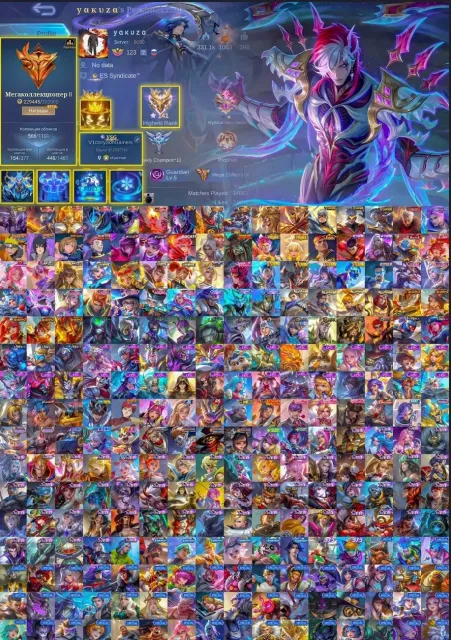 🔥Mega-2🔥Dawning Chu-Bruno-Veil, Naruto Su E, Exorcist Chong, Collector Huvefa-Eimon, X5 Leg🔥, Sale, Rank: Epic, Level: 153, Win Rate: 55%, Heroes: 133, Skins: 566
