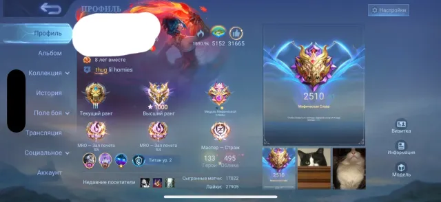 FAT ACCOUNT, Sale, Rank: Mythical Immortal, Level: 150, Win rate: 64%, Heroes: 133, Skins: 495
