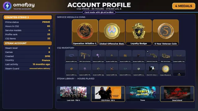 ⚡ 【CS2 PRIME】 💎 +4 RARE MEDALS: WILD FLAME · GO 💎 2016 | +1 GAME | FULL ACCESS #4B1N3X, Sale, With inventory, Has PRIME