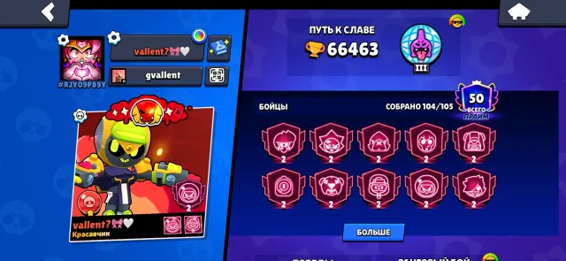Good account, many skins, all characters except Nori, 66000 trophies, 104 brawlers, 50 primes