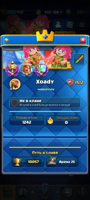 ✅ЖИРНИЙ АКК✅🏆10057 КУБКА🏆🌌14 ЕВОЛЮЦІЙ 🌌💎1512 РІВЕНЬ💎🤠 58 ПІНІВ 🤠💚8 СКІНІВ БАШТІ💚✅АВТОВИДАЧА✅, 25 арена, 1512 рівень, 10057 кубків, 122 карт, 20 лег, Ні