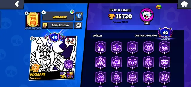 🔥FAT ACCOUNT🔥❗✅106 BRAWLERS 75K CUPS/40 PRIMES BS ✅❗
