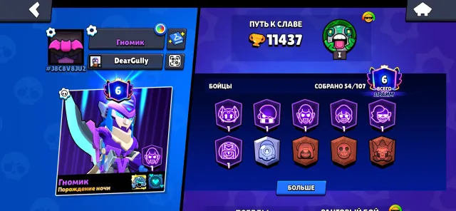 On the account: 14 fighters at power 11, 70 gems, 20k coins, 96 skins. I will send all skins in private messages, 11500 trophies, 54 brawlers, 7 primes