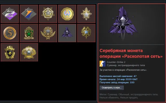 💜CSPRIME,RUST,PUBG,💜12 МЕДАЛЕЙ Расколотая сеть, 2018,2020,2021,2022,2023,2024 год💜ВСЕ НА СКРИНАХ💜, Продажа, Инвентарь пуст, Есть PRIME