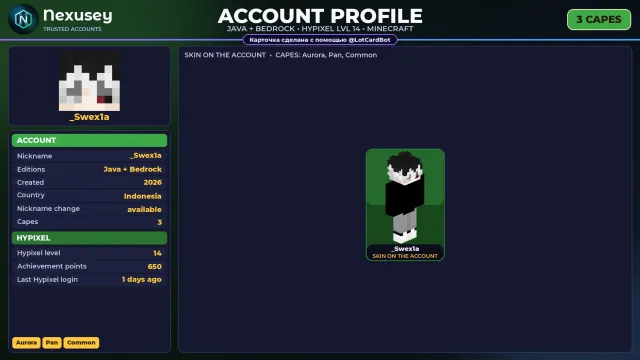 🚀 【MINECRAFT】 ✨ JAVA + BEDROCK | 3 CAPES: Aurora ✨ FULL ACCESS | NO BAN HYPIXEL (14 LVL) #4FNRI7, Sale, All account data