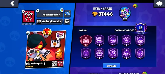 Top account for foundation, 37k trophies, 34 11 power, many skins, 37446 trophies, 104 brawlers, 13 primes
