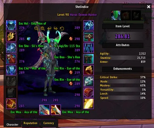 Account with 7 dh + 3 rogue. Main 289 ilvl, 90 level, Blood Elf, Demon Hunter
