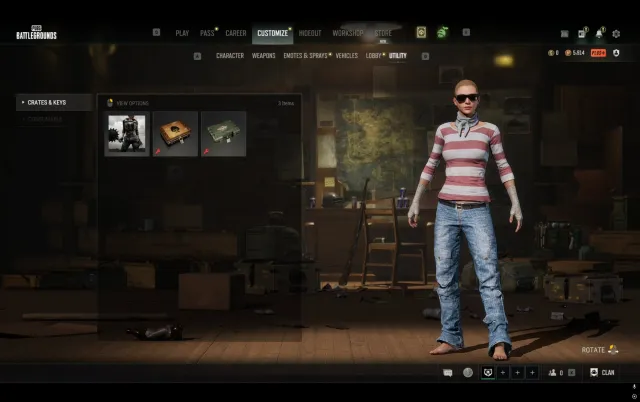 pgi title wraps + 1300 g-coin, Есть BATTLEGROUNDS Plus